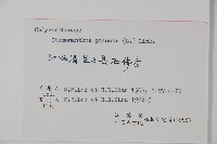 臘梅藏品圖，第2張