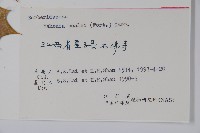 闊葉十大功勞藏品圖，第2張