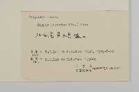 瓜槌草、漆姑草藏品圖，第3張