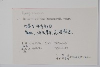 狹苞斑種草藏品圖，第2張