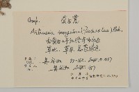 蒙古蒿藏品圖，第2張