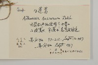 僧蒿藏品圖，第2張