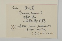 黃花蒿藏品圖，第2張