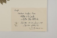 飛廉藏品圖，第2張