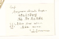 芼管草藏品圖，第2張