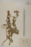 登錄號:S055884藏品圖，第1張