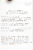 白葉蒿藏品圖，第4張