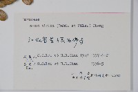 黃楊藏品圖，第2張