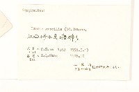 細葉苦實藏品圖，第3張