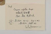 登錄號:S056013藏品圖，第2張