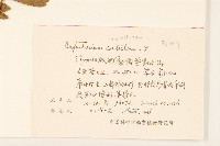 破坏草藏品圖，第2張