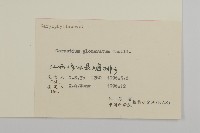 球序卷耳藏品圖，第3張