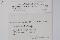 細纍子草藏品圖，第2張