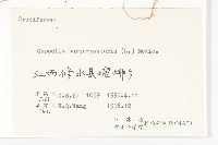 薺藏品圖，第3張