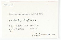 廣東葶藶藏品圖，第3張