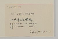 瓜槌草、漆姑草藏品圖，第3張