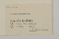 哥蘭葉藏品圖，第3張