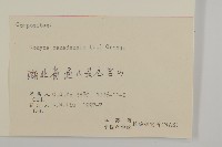 加拿大蓬藏品圖，第3張