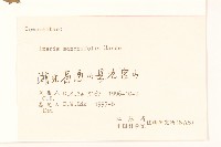 抱莖苦菜藏品圖，第3張