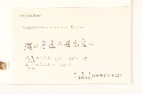 腺梗豨薟藏品圖，第3張
