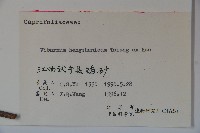 衡山莢迷藏品圖，第2張