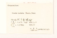 齒緣苦實藏品圖，第3張