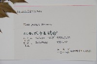 貓兒刺藏品圖，第2張