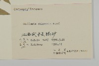 中國繁縷藏品圖，第3張