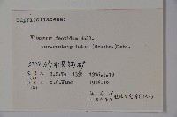 狹葉莢迷藏品圖，第2張