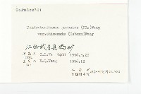 四照花藏品圖，第3張