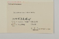 過山楓藏品圖，第3張