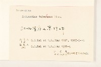 塊根向日葵藏品圖，第3張