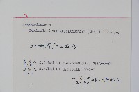 毛漆樹藏品圖，第2張