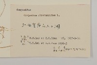 天名精藏品圖，第3張