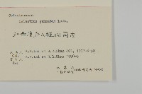 哥蘭葉藏品圖，第3張