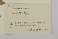 藜、灰藜藏品圖，第3張