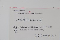 廬山小檗藏品圖，第2張