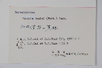 闊葉十大功勞藏品圖，第2張