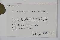 五加藏品圖，第2張