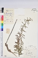 登錄號:S056587藏品圖，第1張