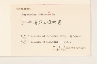 華澤蘭藏品圖，第3張