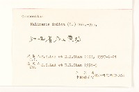雞兒腸藏品圖，第3張