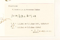 毛梗豨薟藏品圖，第3張