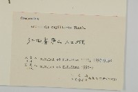 茵蔯蒿藏品圖，第3張