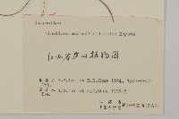 阿里山鬼督郵藏品圖，第3張