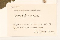 山牛旁藏品圖，第3張