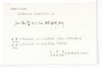 水花菜藏品圖，第3張