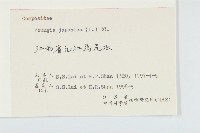 黃鵪菜藏品圖，第3張