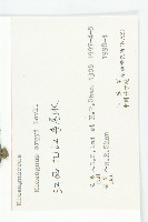 余山羊奶子藏品圖，第3張