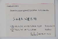 五加藏品圖，第2張